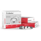 Biodentine capsule placed on white capsule holder ready for mixing