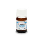 Ammdent Canalsolve 13ml amber glass bottle – Root Canal Filling Remover with white cap