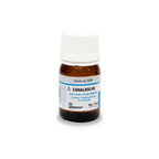Ammdent Canalsolve – Eugenates Tetrachloroethylene Formula Gutta-Percha Solvent Root Canal
