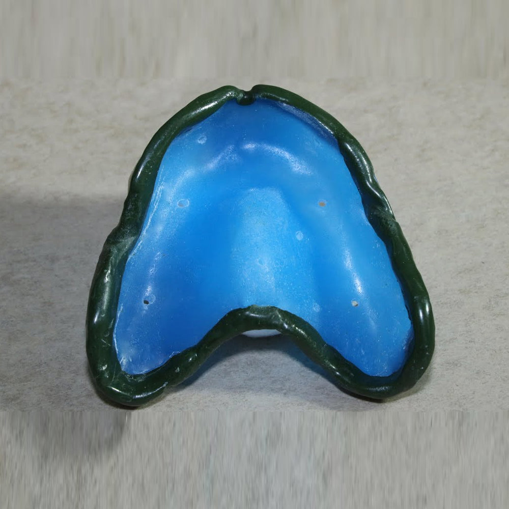 DPI Pinnacle Tracing Sticks for Muscle Trimming and Border Moulding in Prosthodontics