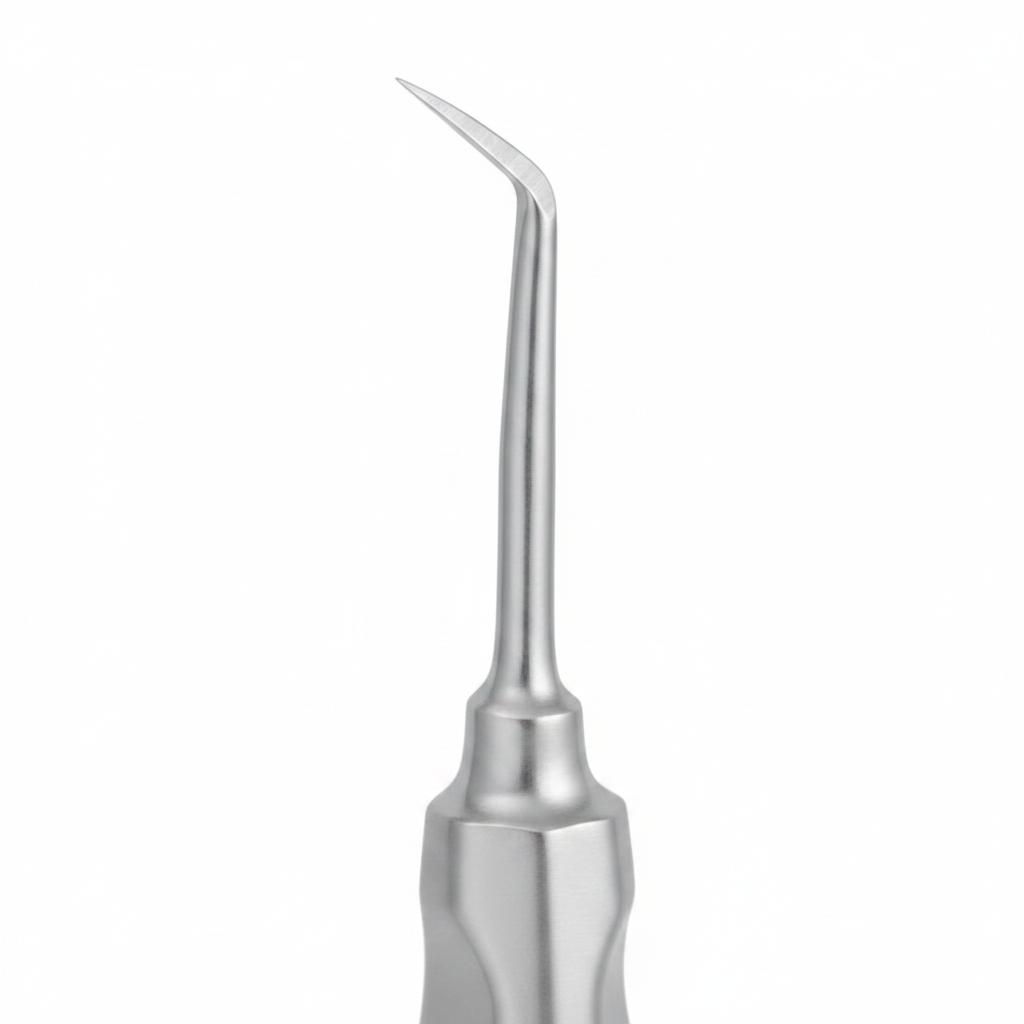 Cogswell B Surgical Elevator – Tip Close-up Detail