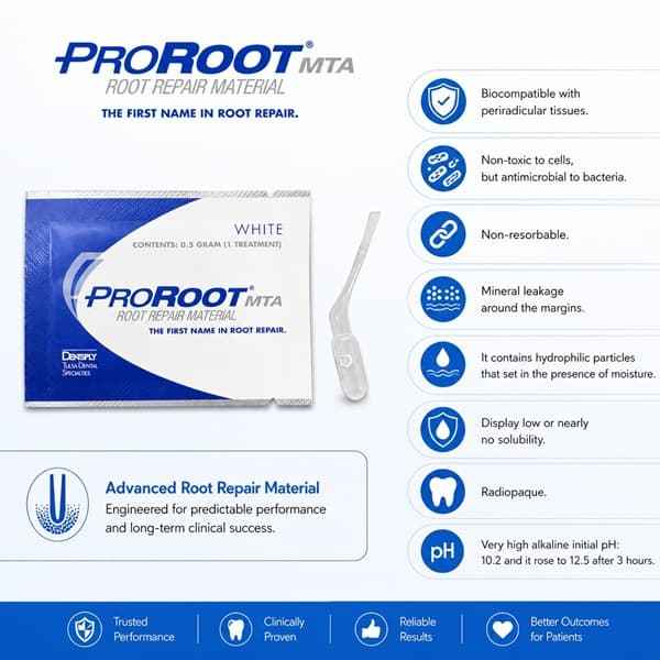 Dentsply ProRoot MTA – Sets in Presence of Moisture Root Perforation Repair Endodontics
